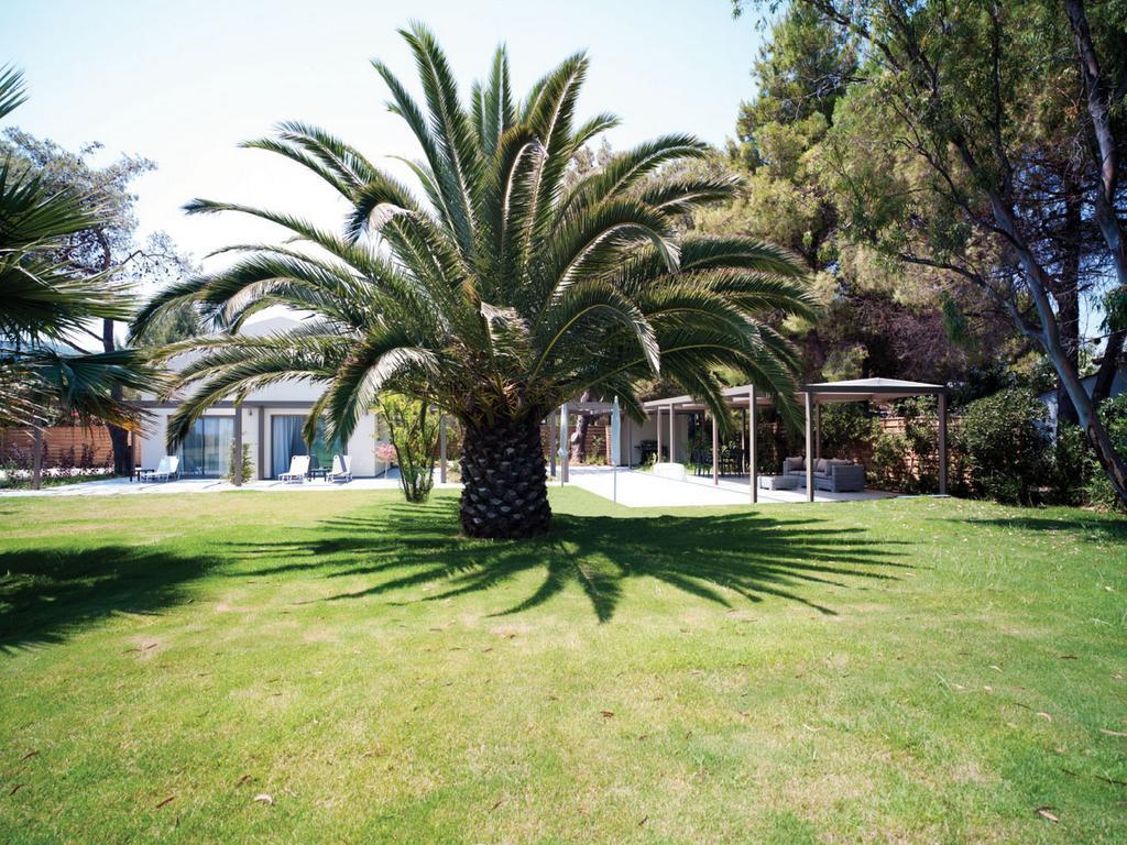 Villa Tiamo Secrets - Palm Garden Vourvourou Esterno foto